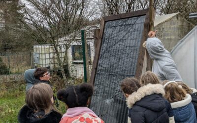 Journée de folie à Éveil Comesti Lab – Ransart