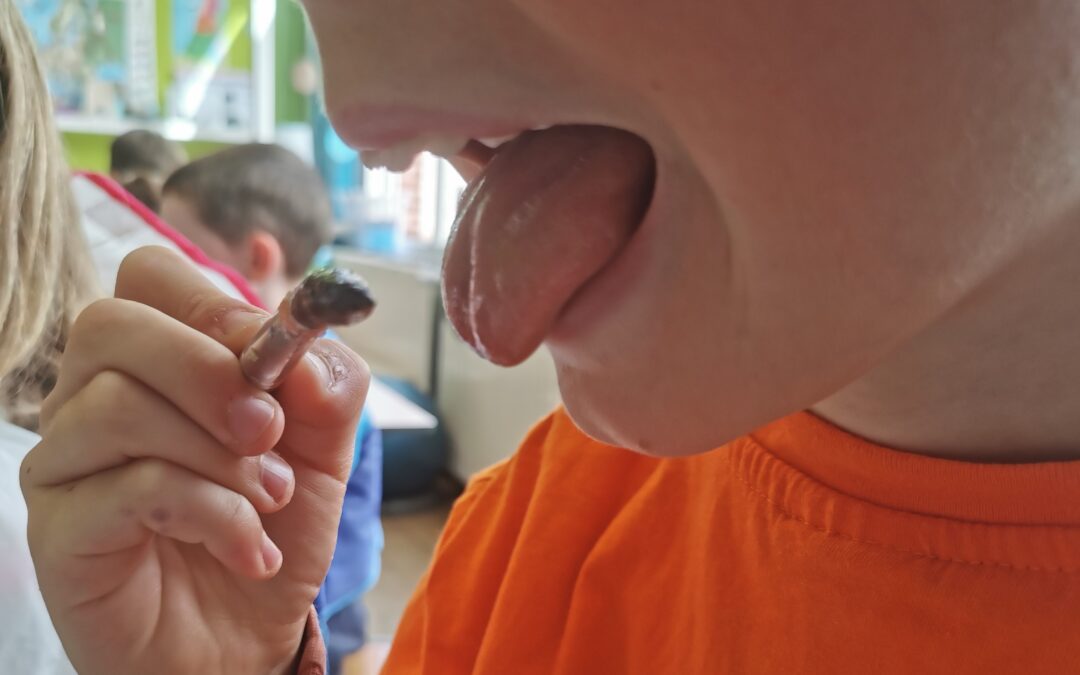 ATELIERS SUCRES…
