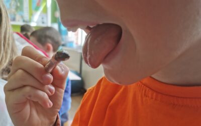 ATELIERS SUCRES…
